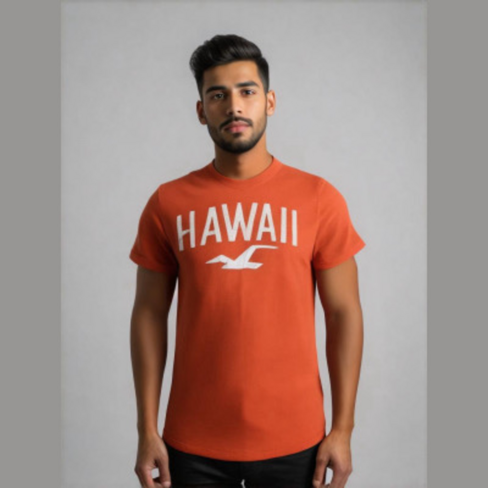 hollister t-shirt boys size large